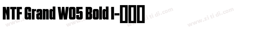 NTF Grand W05 Bold I字体转换